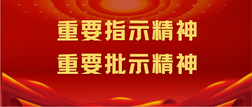 全国安全生产会议重要指示批示精神及主要措施