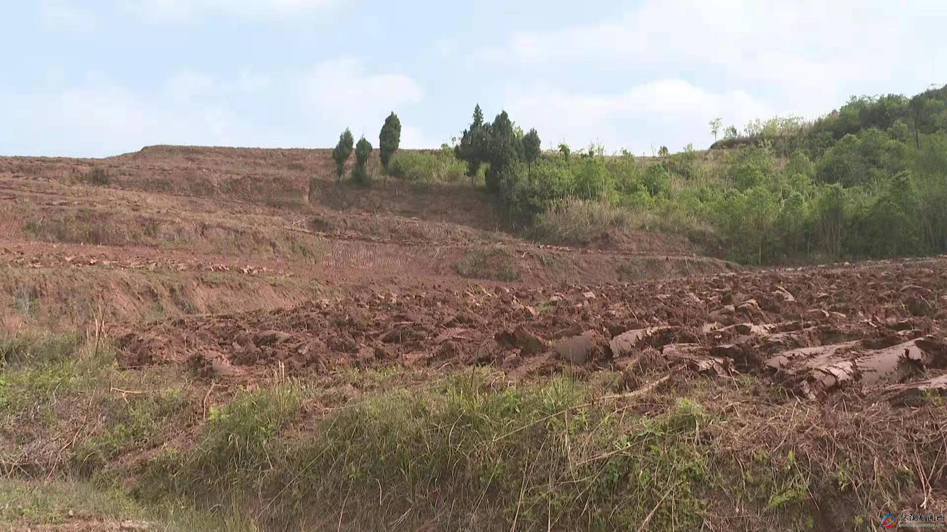 土门镇整治撂荒地壮大集体经济助推乡村振兴发展