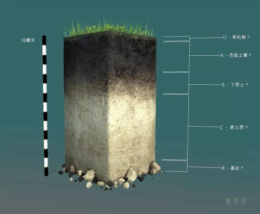 七,土壤剖面示意图六,土壤剖面实景图五,成土过程示意图四,土壤形成与