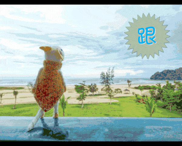 600_480gif 动态图 动图