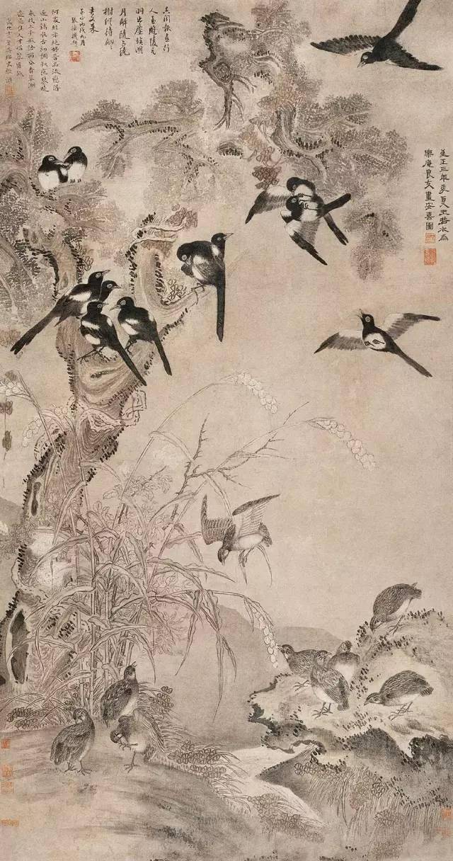 元王渊花繁深浅色