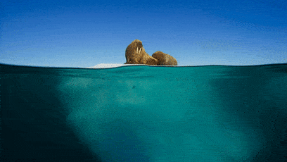 408_230gif 动态图 动图