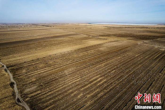 墒情好地温高 农业大省吉林春耕迎利好_土壤_大部_农田