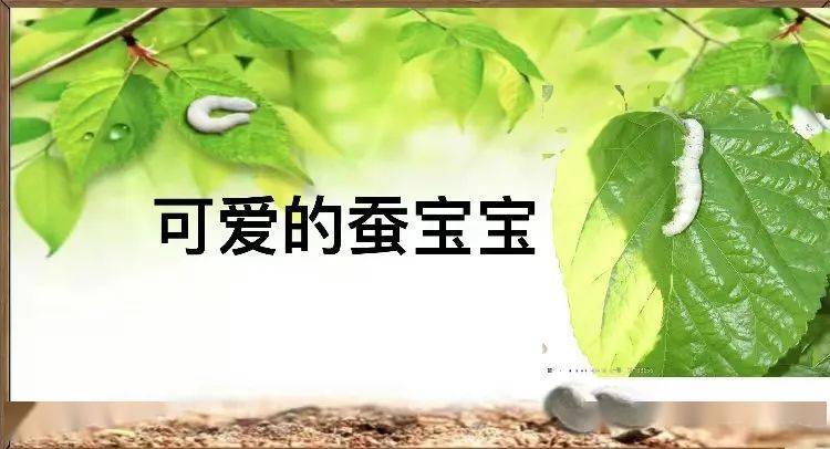 复华教学春蚕爬绿桑吐丝织梦想记复华小学线上综合实践学科优质课