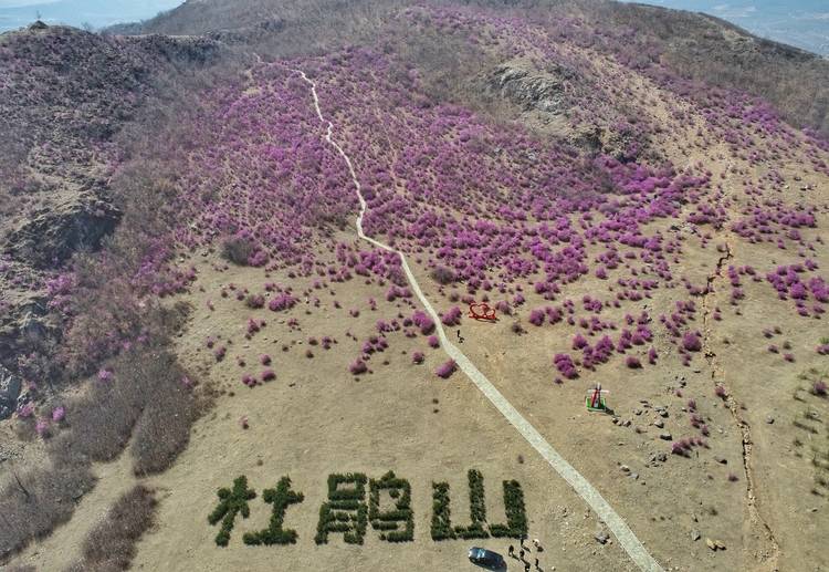 杜鹃山位于齐齐哈尔市龙江县龙兴镇新功村九屯南侧.