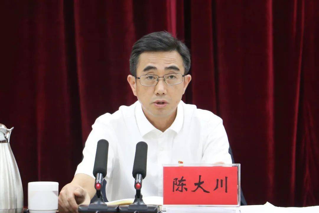 陈大川形成齐抓共管的创文工作合力