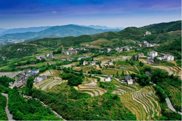 麻田镇龙王潭村党建引领谋振兴山村蝶变入画来