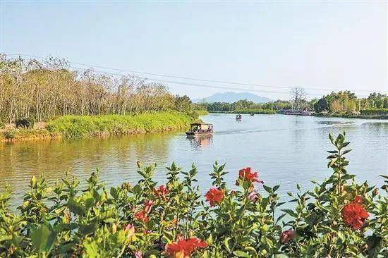 喜讯普宁入选数字乡村百强县登上羊城晚报起上乡村振兴之路