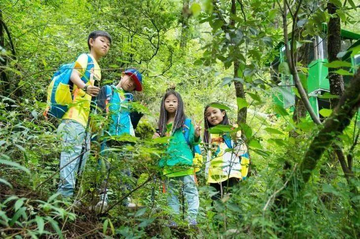 5天4夜秦岭自然探秘体验营,报名开启!_活动_山野_标本