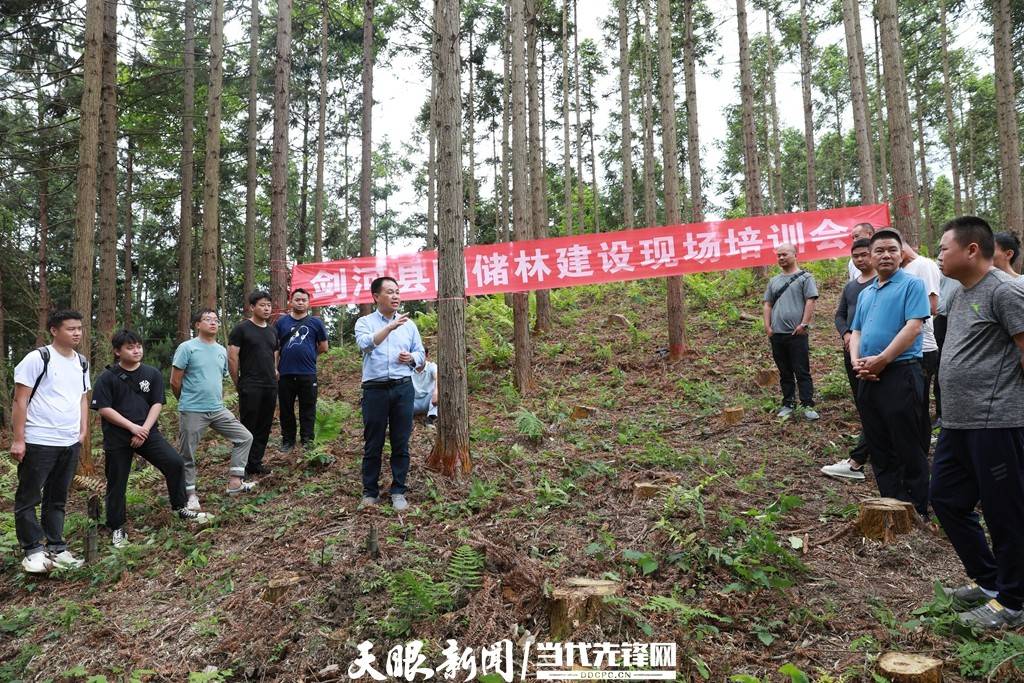 培训现场,剑河县鸿森公司总经理,先林业局高级工程师彭顺平结合国储林