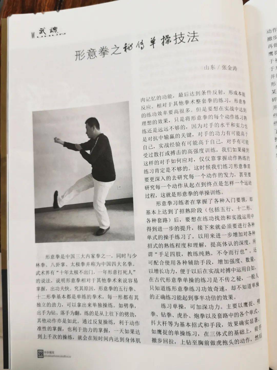 形意拳之秘传单操技法_动作_对手_劲力