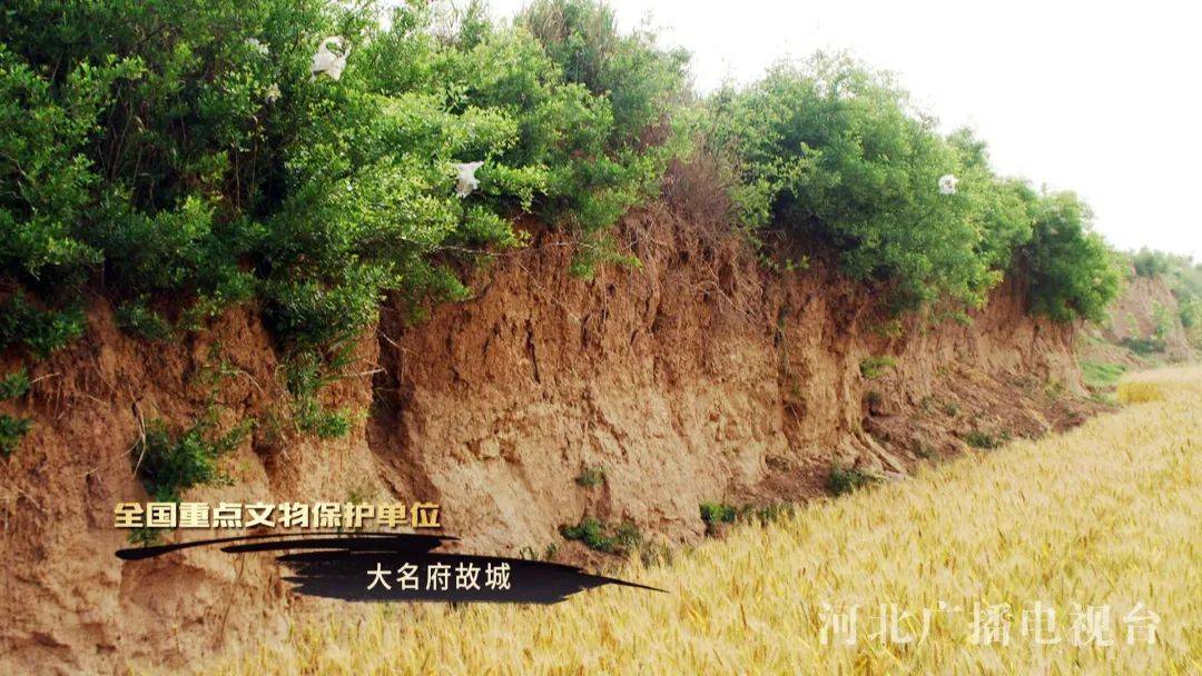遗址保存完好未进行过破坏六百年来文化层深度3—5米都深埋于地下建筑