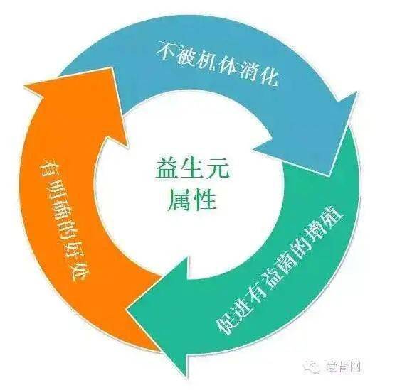 益生菌的食物,为非消化性食物成分(主要由人体酶难以消化的非淀粉多糖