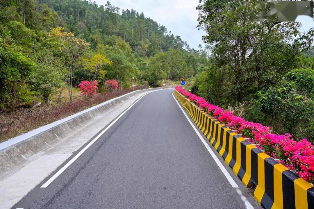 厦门日报山区公路上有间有爱的小木屋