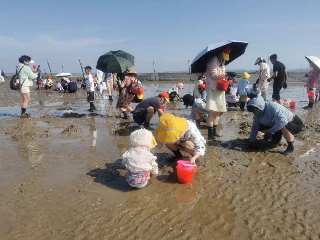 趣味亲子游558欧乐堡海洋世界人鱼表演热带雨林海豚互动连江趣味赶海