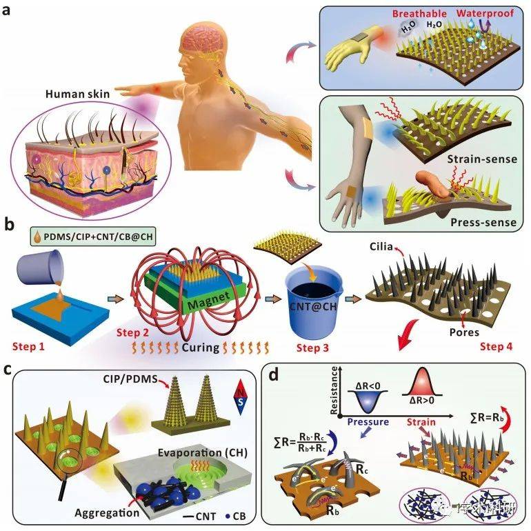 新型透气且防水的电子皮肤实现非重叠模式下压力和应变感知 E skin 穿戴 传感器