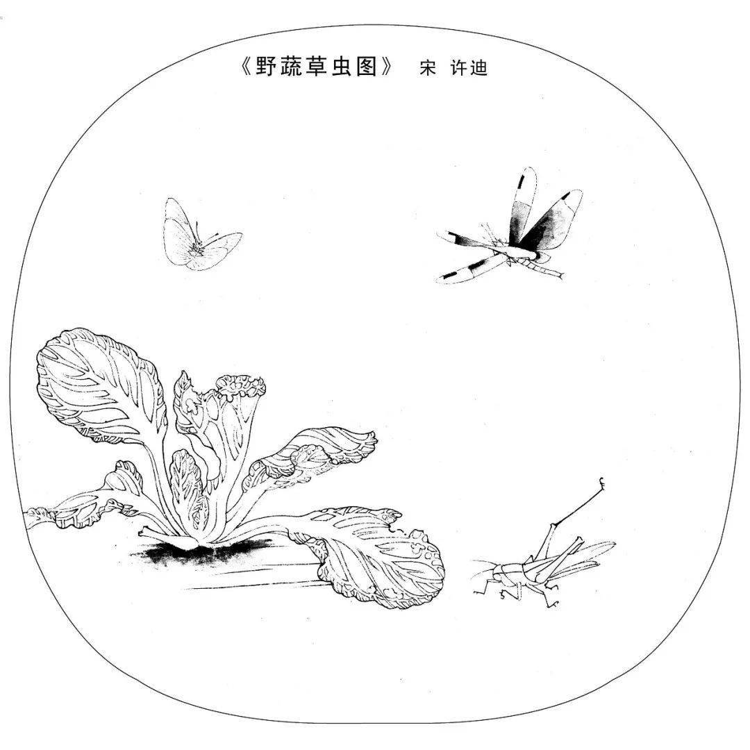 宋画工笔白描,最好的国画学习素材_荷花_史皆至_合作