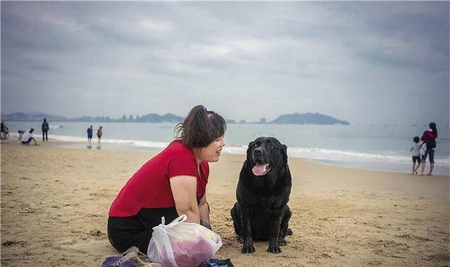 导盲犬珍妮近况:已经退役了,"有生之年"最大愿望是见到她_陈燕_马恩