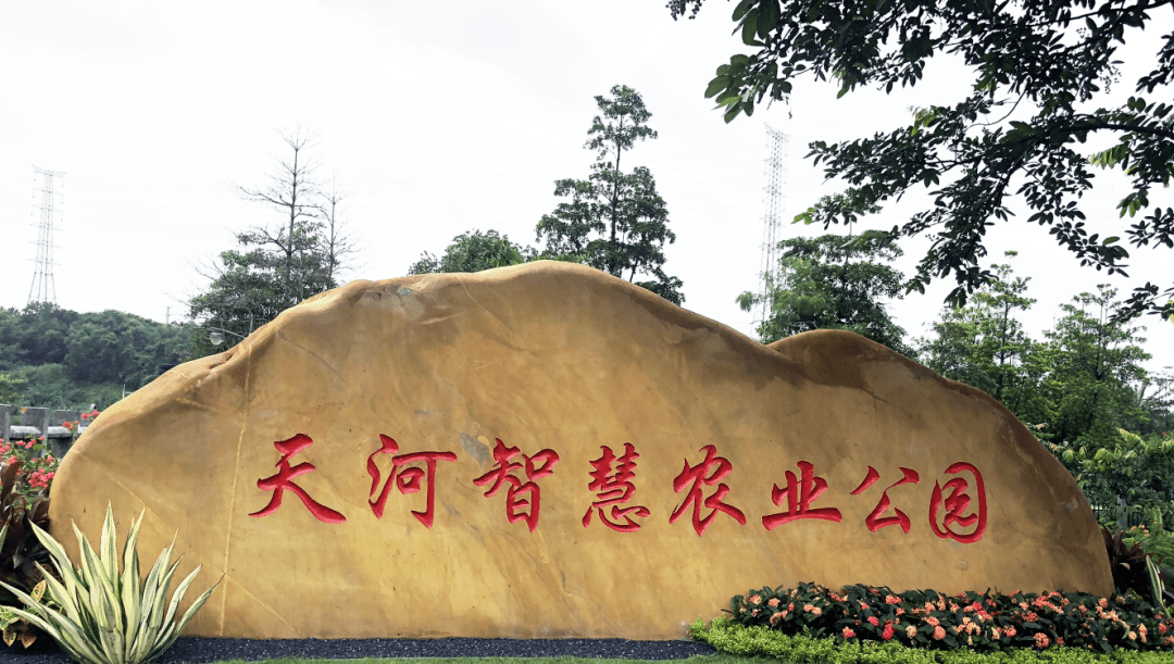 ②天河智慧农业公园90票价:48元/人,游玩项目另收费01交通:地铁2