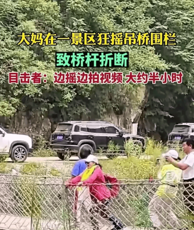 大妈在景区疯狂摇晃吊桥半小时，致栏杆折断