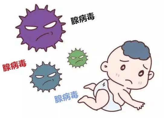 为何今夏腺病毒感染增多 来自搜狐网
