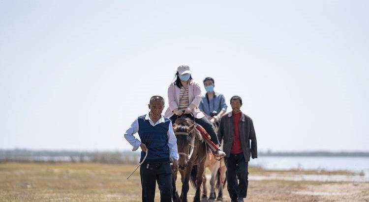 我国最大的沙漠淡水湖，有可能成为第2个“罗布泊”，你去过吗