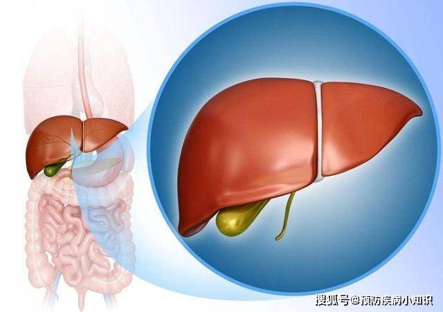 常由肝瘤生长迅速使肝包膜张力增大,或肿瘤累及肝包膜所致常为中晚期