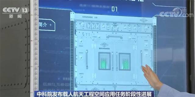 问天实验舱应用任务进展顺利 植物生长状态良好