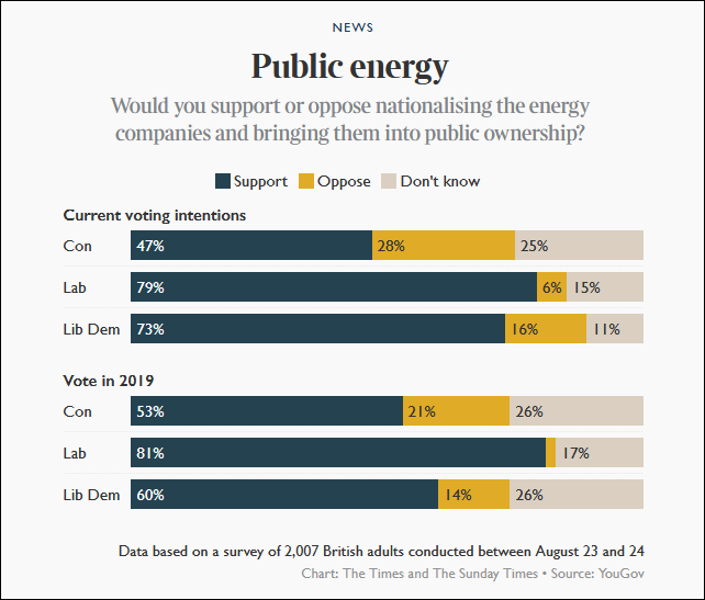 英媒：生活成本危机下，47%英国保守党选民希望能源行业国有化