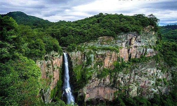 全球最高弥勒佛造像，中国五大佛教名山之一，还有云豹在此活动！