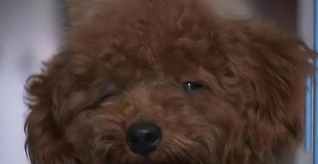 海口一瑜伽教练失踪警方三查女教练米乐M6 M6米乐住处(图17)