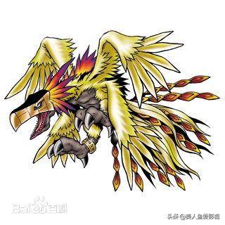 ���뱦���������ǵ������޵�һ�����뱦���ľ�����