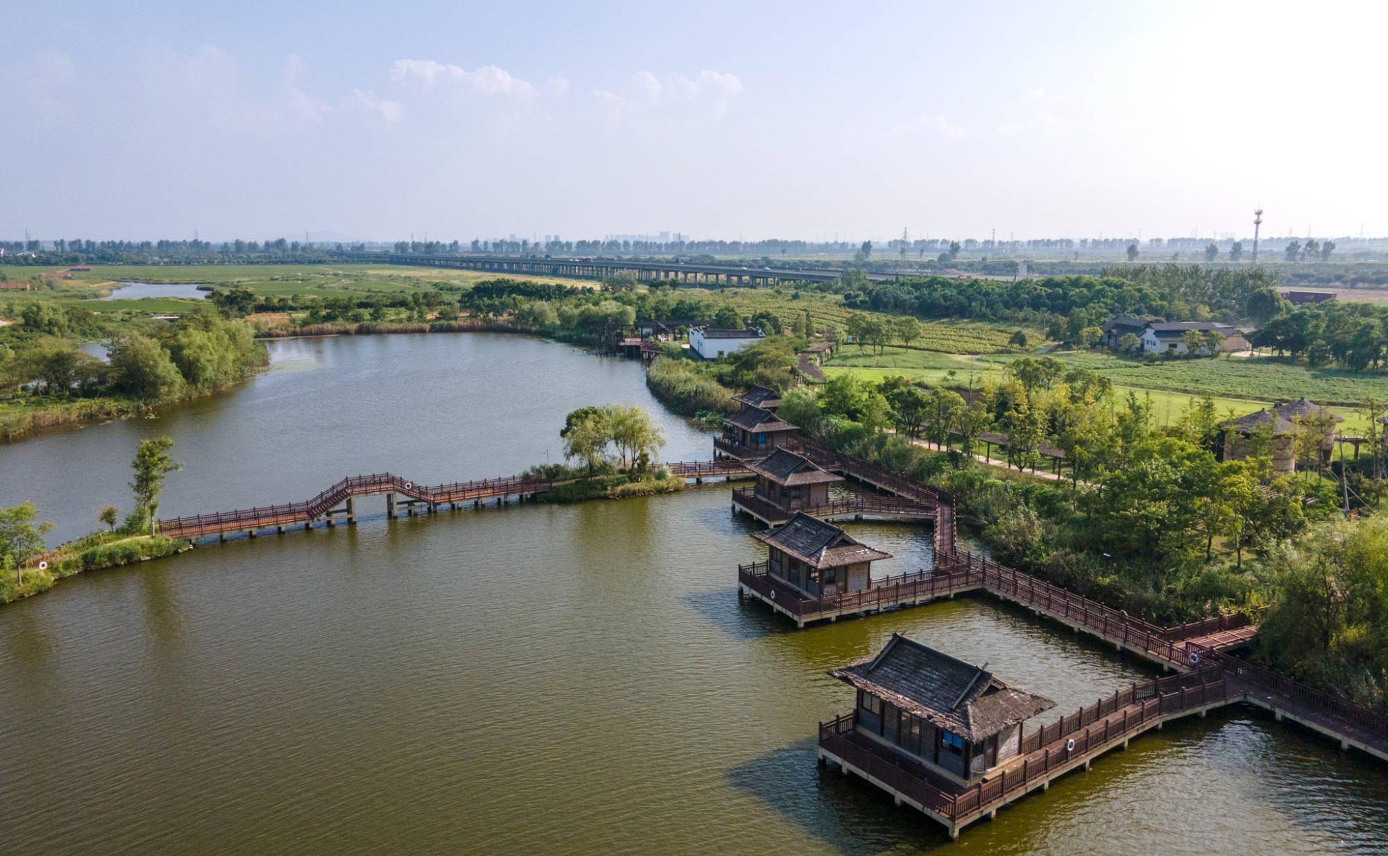 浙江上虞新晋网红打卡地，660亩的海上花田景区，你去过了吗？