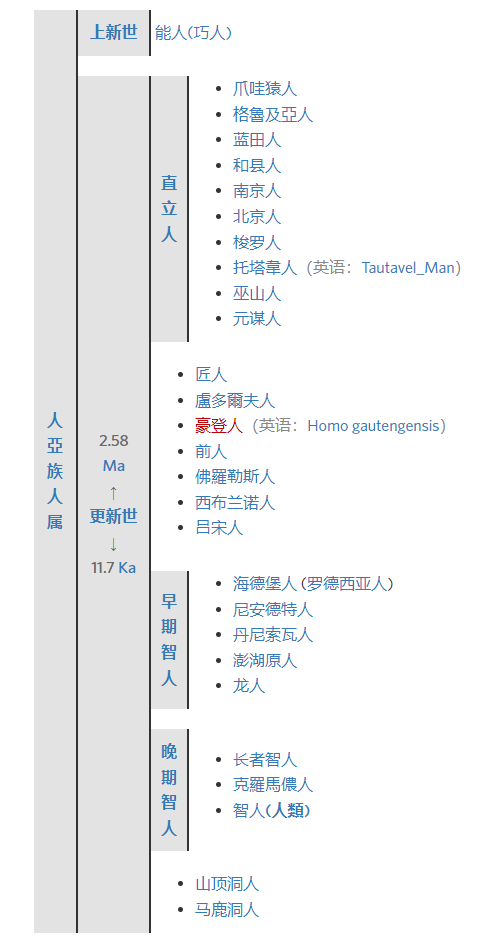 从南方古猿到晚期智人,人类是怎么进化而来的_尼安德特_基因组_分类