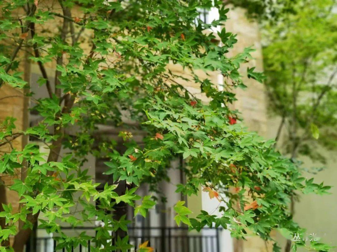 �ճ���¼��20220913���˸���һ���ݳ�Ʒ