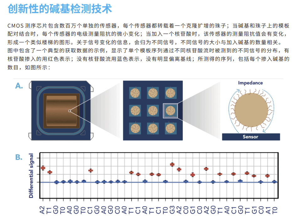 破产！卖身！测序仪生产商GenapSys完美体育出师未捷身先死（没死透）(图4)