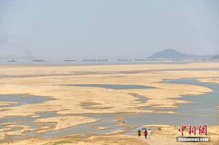 长江中下游多地无有效降雨超50天 夏秋连旱形势严峻