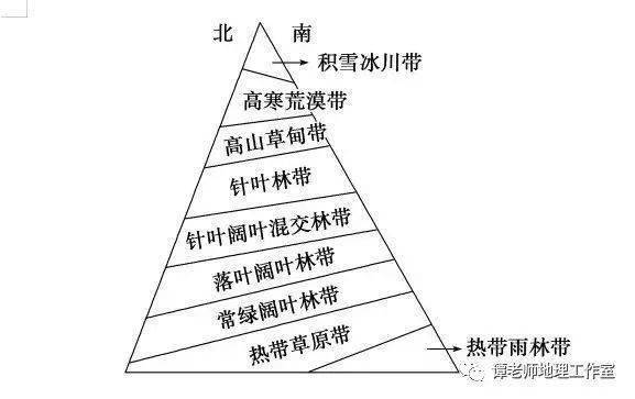 垂直自然带谱分布图肯尼亚山乌拉尔山脉安第斯山脉乞力马扎罗山