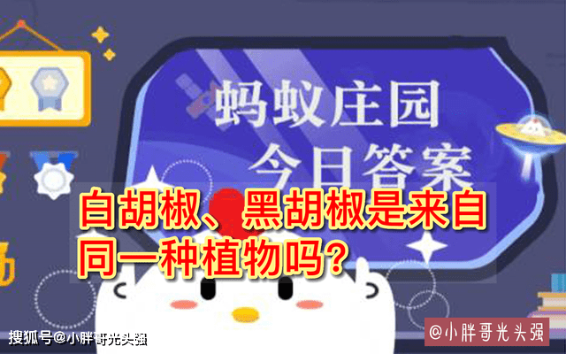 9月16日蚂蚁庄园小知识_鱼有_小鸡_答案