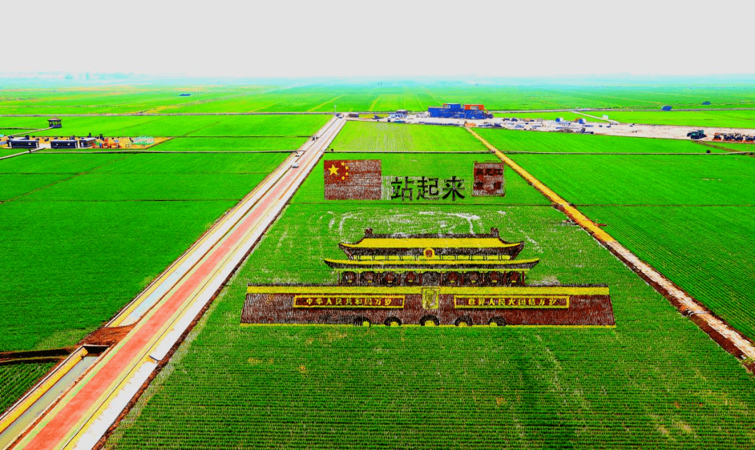 时间定了！为什么又是富锦？