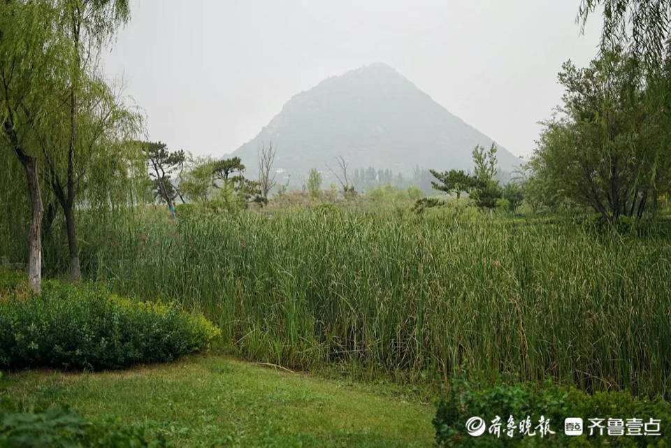 晨起“湖”拍|薄雾中的华山湖，别有一番韵味