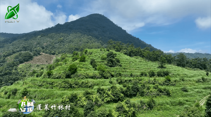 【飞阅安溪】蓬莱镇竹林村