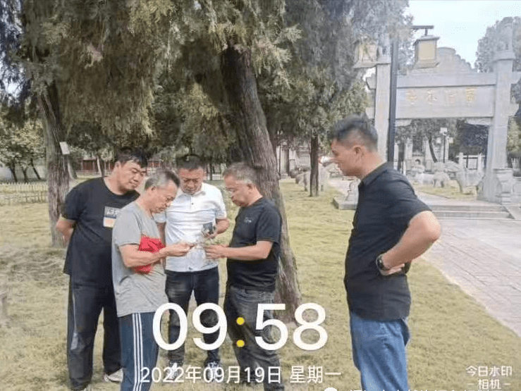 漯河森防组织专家“把脉问诊”百年古树