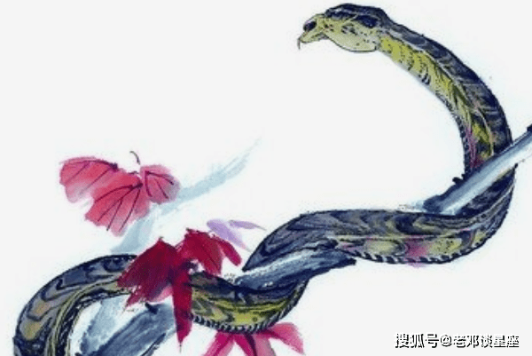 老公属蛇，梦中斩蛇，寓意与解析
