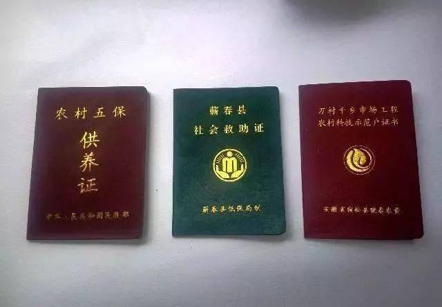 除了低保，残疾人还可以申请这个补贴，补贴是低保的几倍