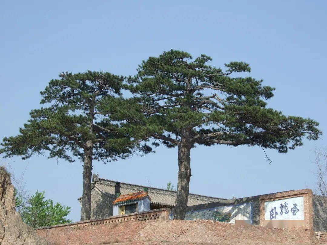 银行流水松树柁 搜狐网