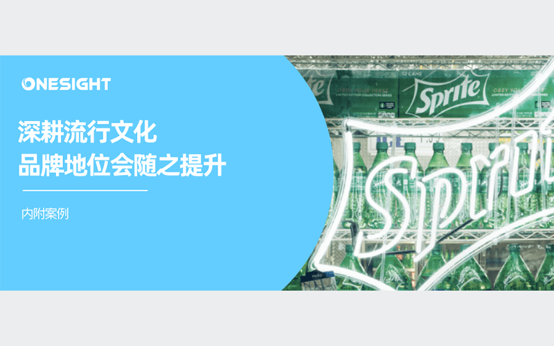 做"文化:出海品牌深入海外用户心智的新方法_进行_群体_领域