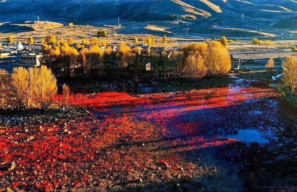 ��ȫ����ļ�����㴨��֮�����Ƕ����뿨�������﹵�������� ...