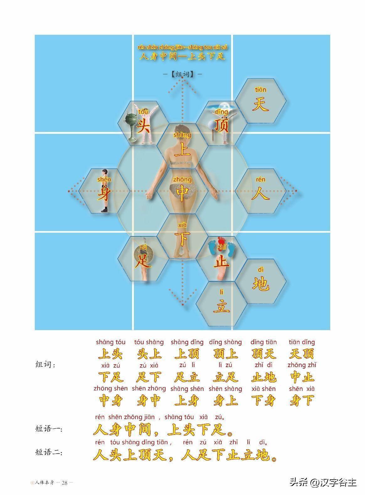 快为孩子收藏吧——满身有成语：1000个人体本身部位成语大全