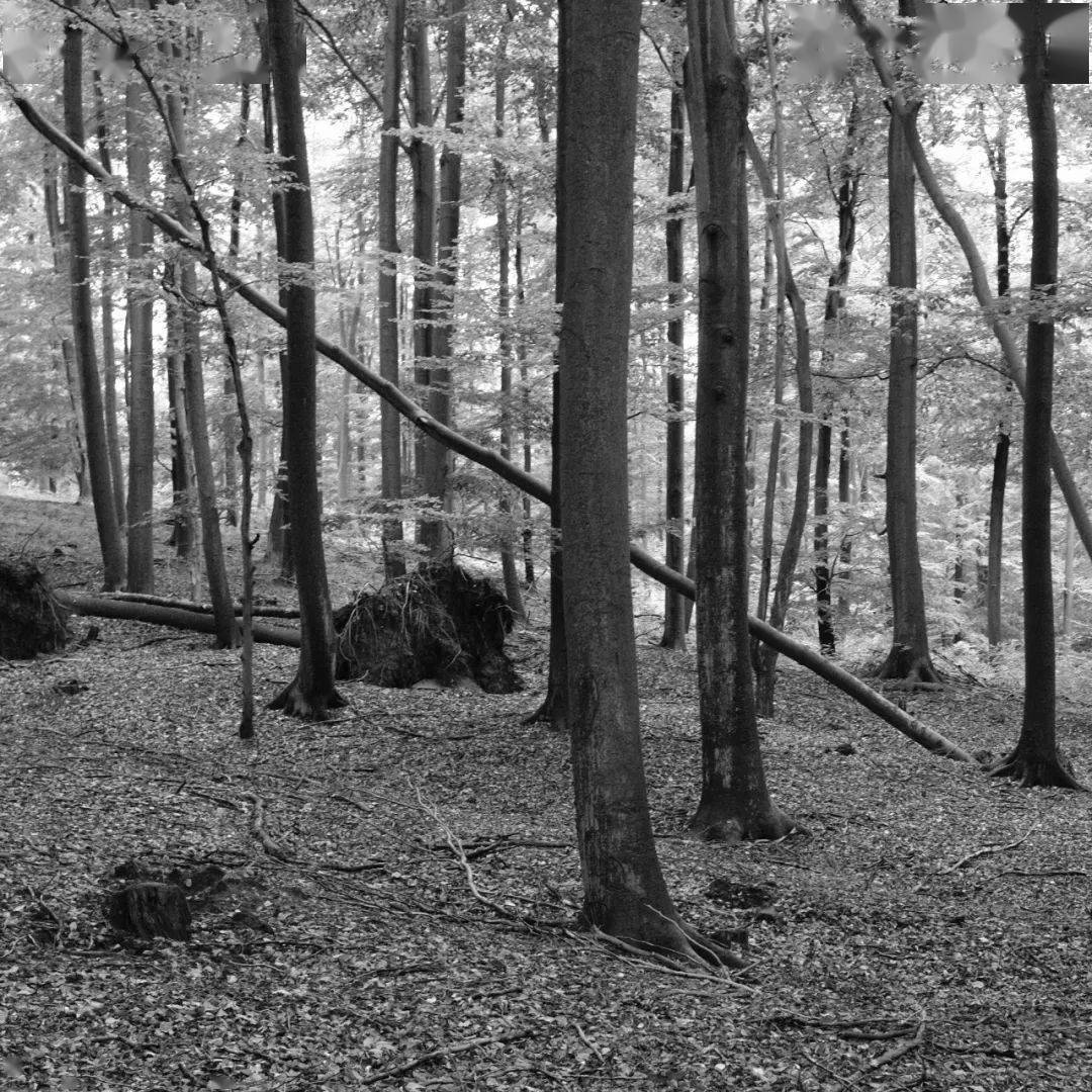 �����죺�����˶Ծ��ӵ����������Ӧ���á��ж���������